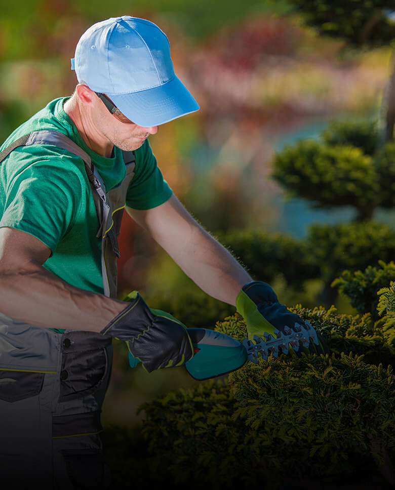 Residential Landscaping